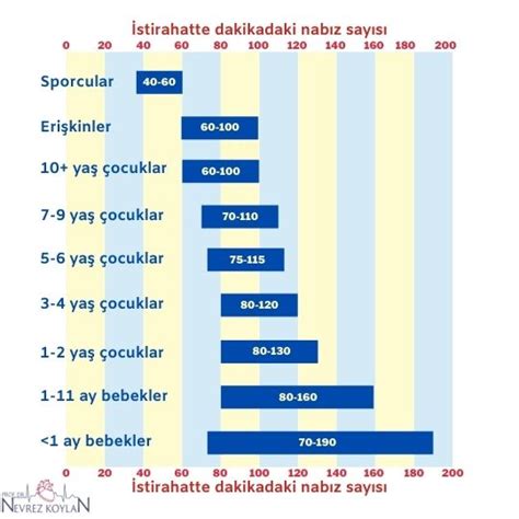 Sporcular İçin İdeal Kalp Atış Hızı Aralığı